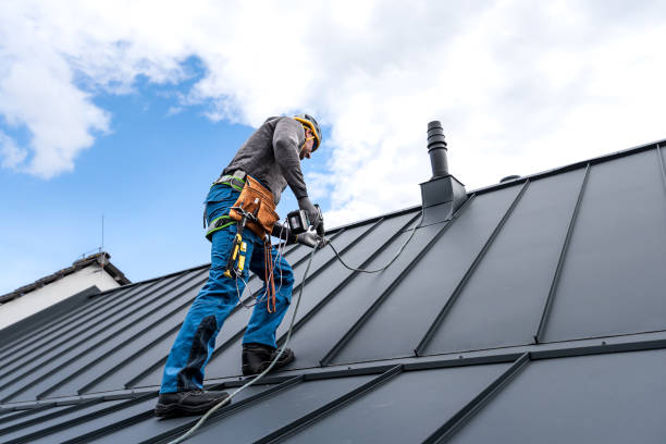 Best Roof Leak Repair  in Crystal City, TX